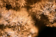Edingtonite and natrolite